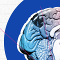Understanding Neurodivergence: What Does it Mean to be Neurodivergent?