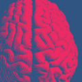 What Does it Mean to be Neurodivergent?