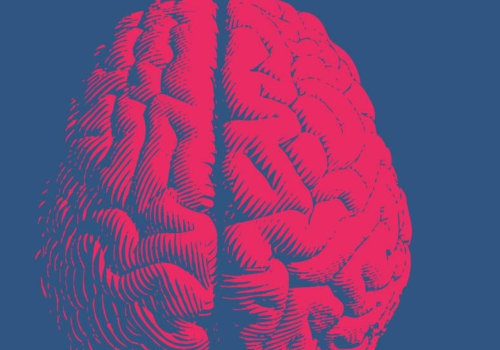 Understanding Neurodiversity and Disability: A Comprehensive Guide