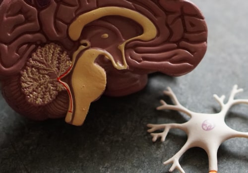 Understanding Neurodivergence: What is it and How Does it Impact People?